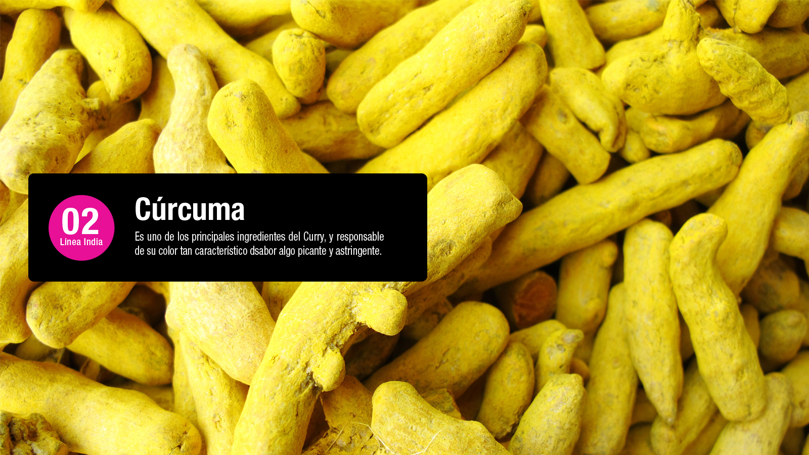Curcuma